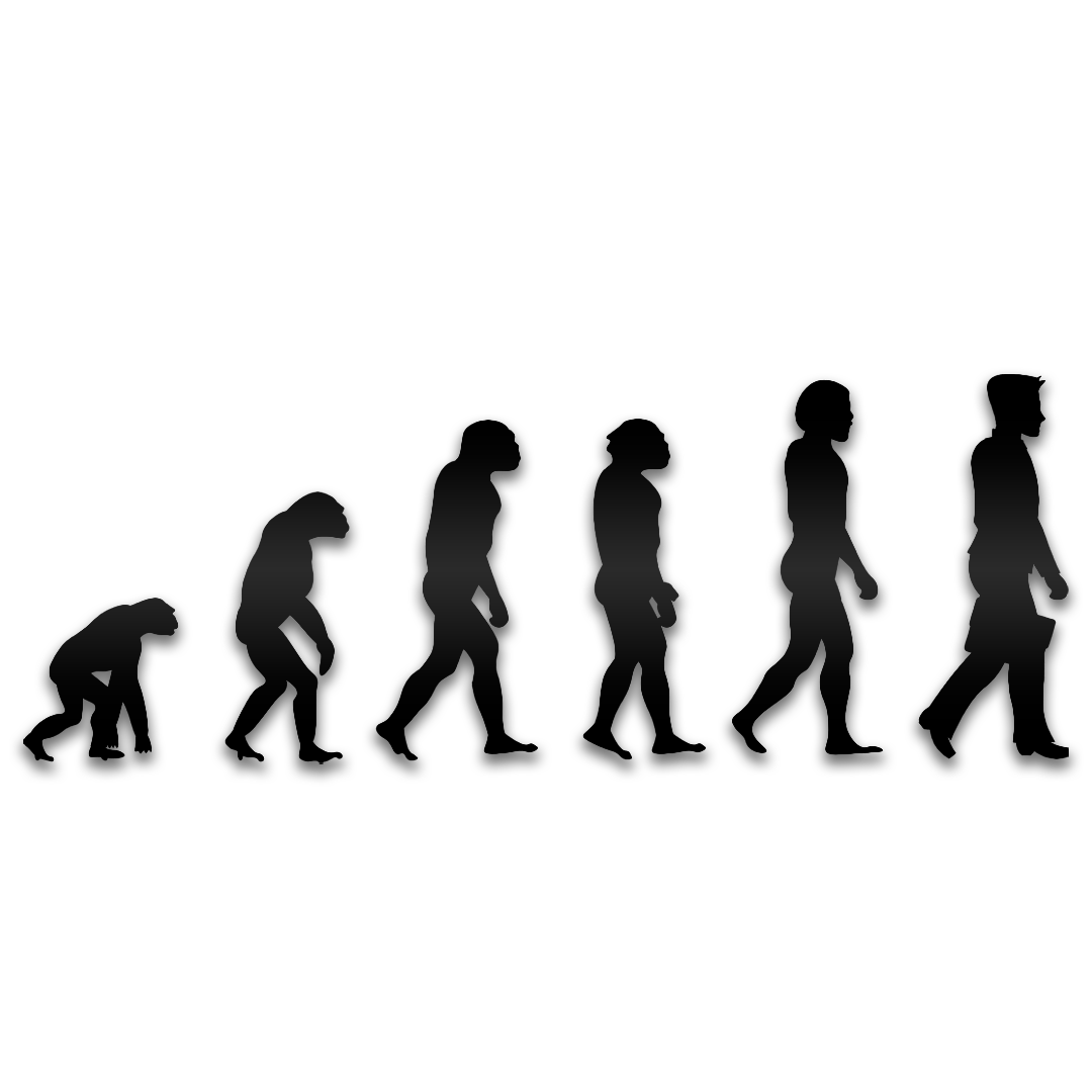 Evolution Decal